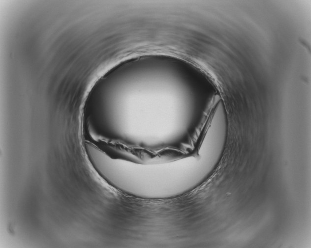 X0000095901528200802081129