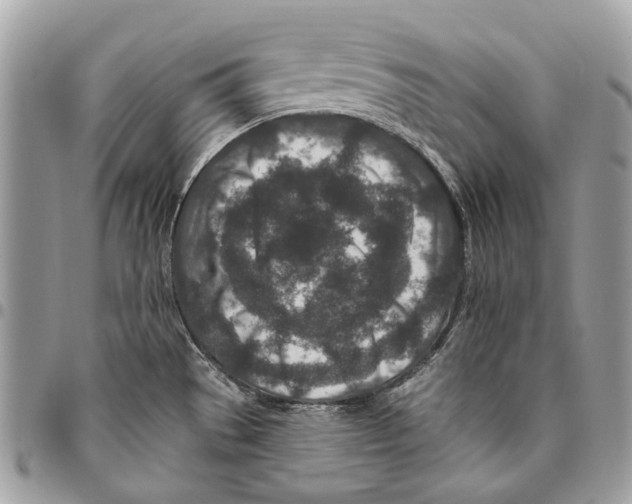 X0000095901529200802081129