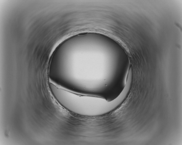 X0000095901530200802081129