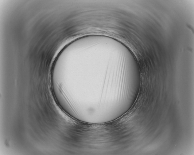 X0000095901531200802081129