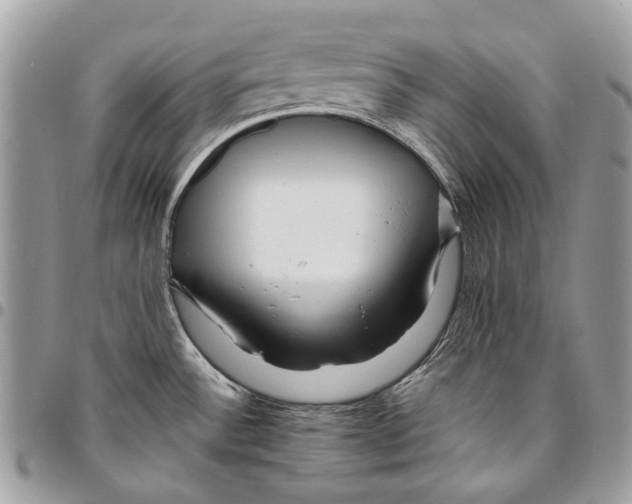 X0000095901532200802081129