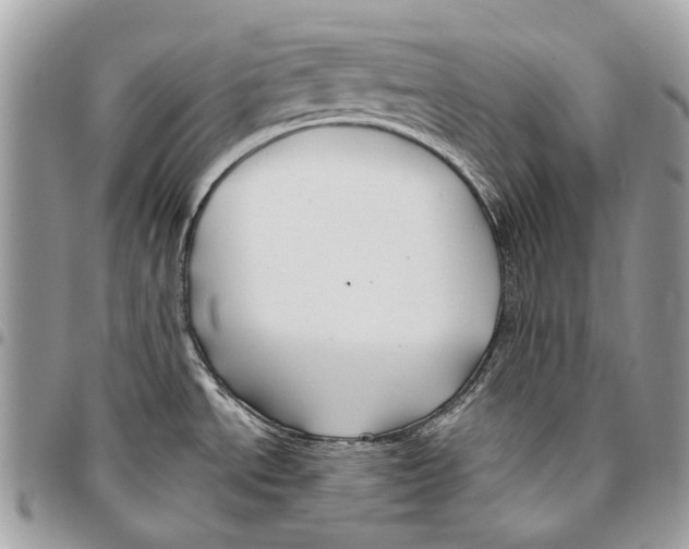 X0000095901534200802081129