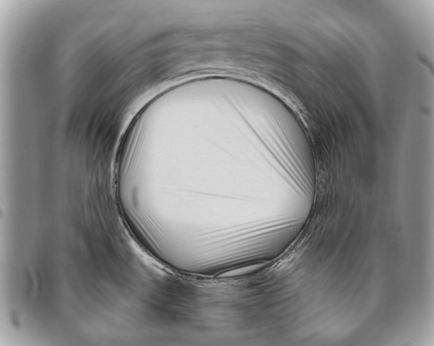 X0000095901535200802081129