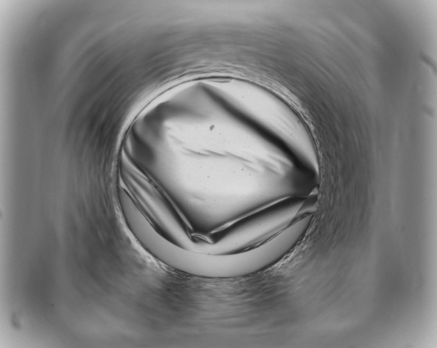 X0000095901536200802081129