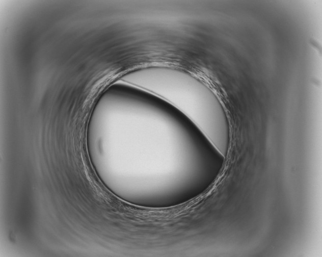 X0000095910001200801110838