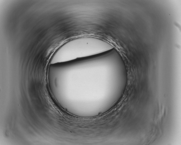 X0000095910002200801110838