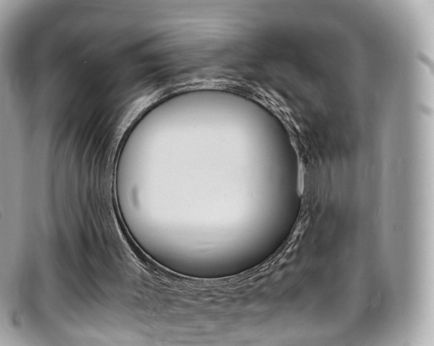 X0000095910003200801110838