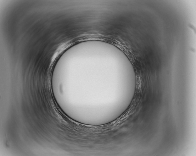 X0000095910004200801110838