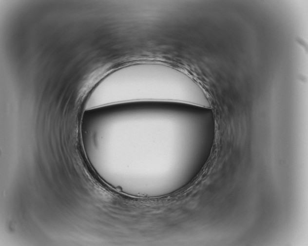 X0000095910005200801110838