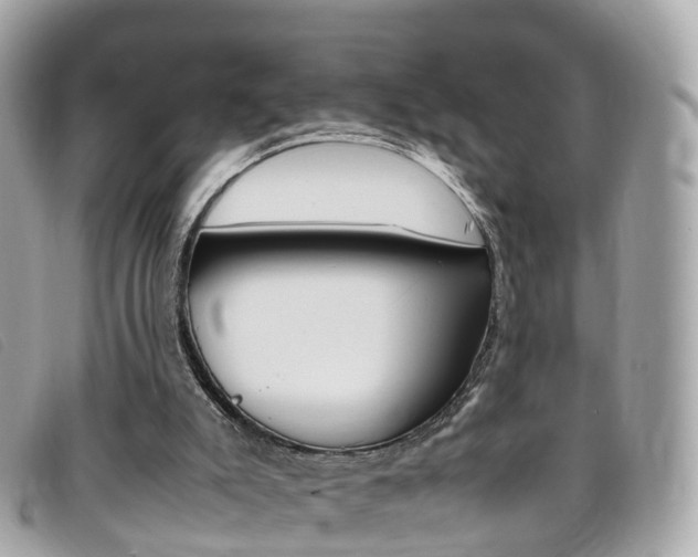 X0000095910007200801110838
