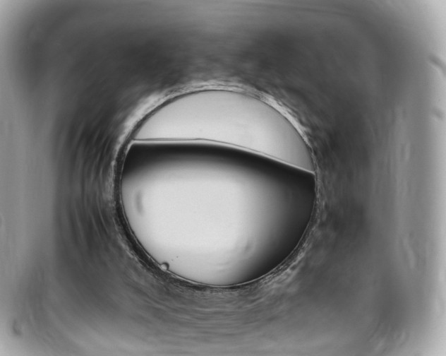 X0000095910008200801110838