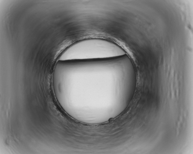 X0000095910010200801110838