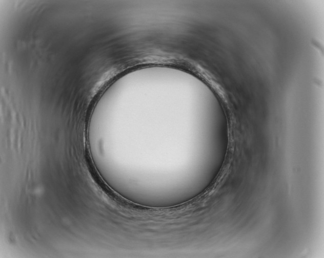 X0000095910011200801110838