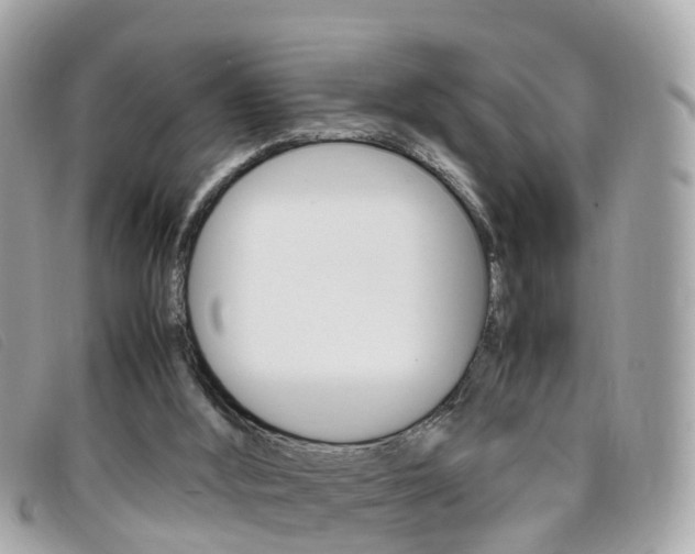 X0000095910012200801110838