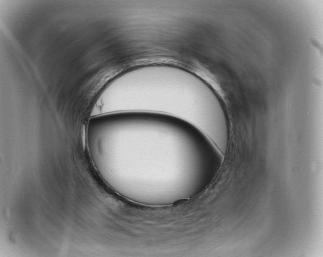 X0000095910013200801110838