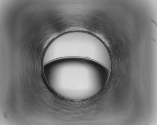 X0000095910015200801110838