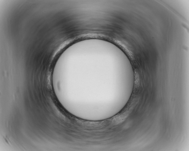 X0000095910016200801110838