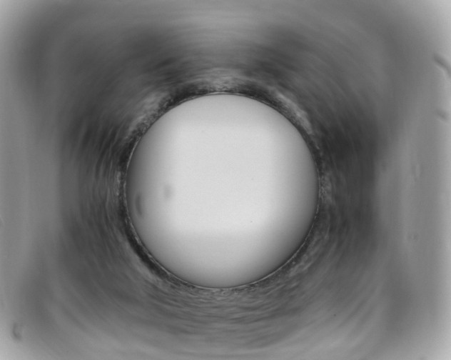 X0000095910018200801110838
