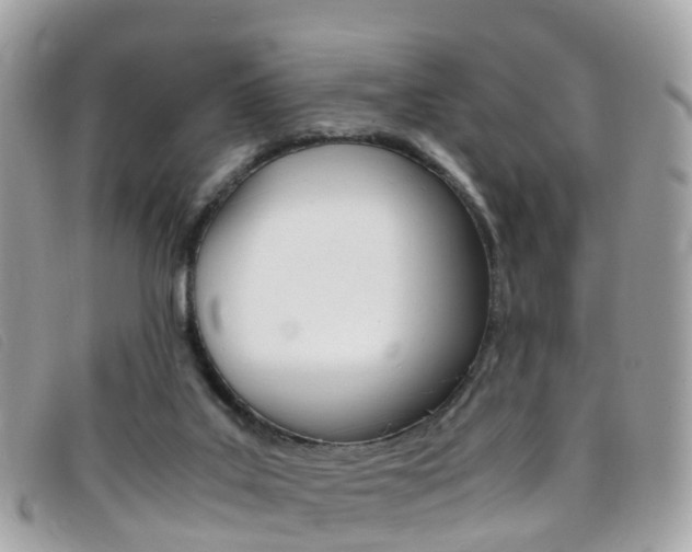 X0000095910019200801110838