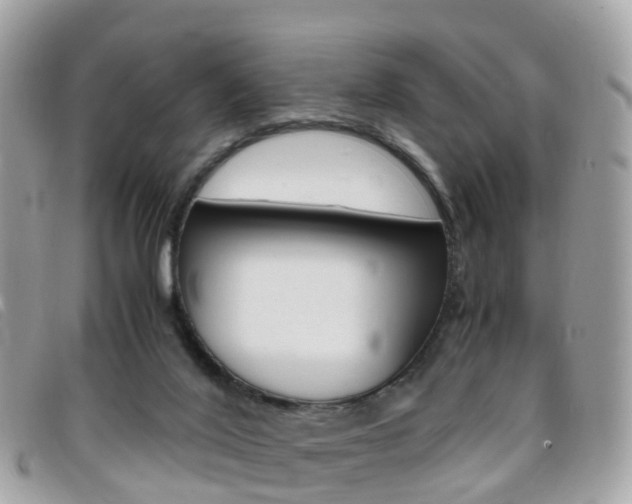 X0000095910020200801110838