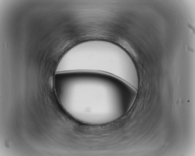X0000095910021200801110838