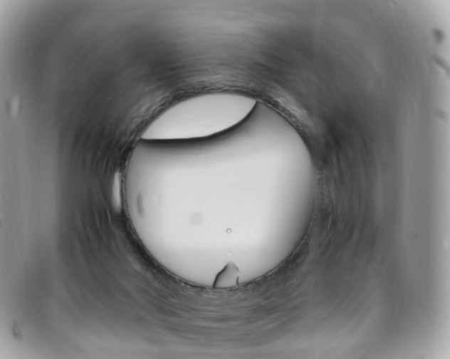 X0000095910022200801110838