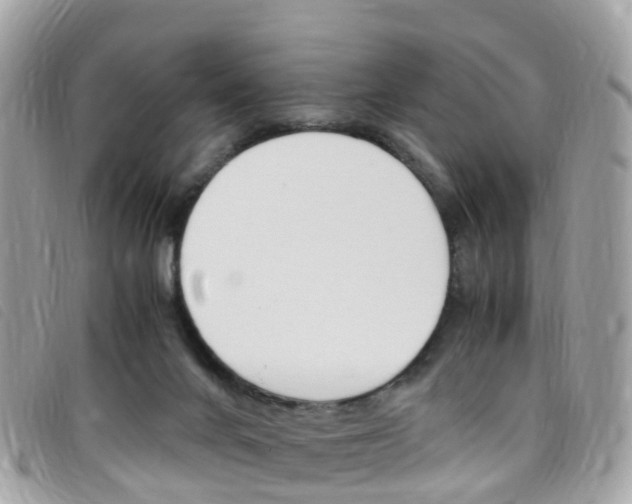 X0000095910024200801110838