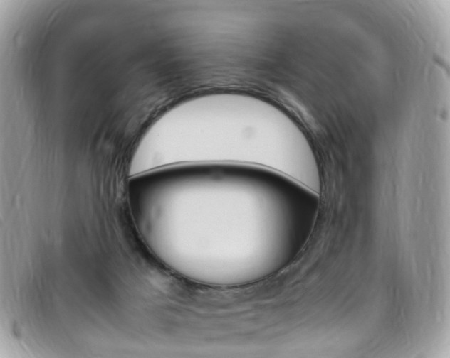 X0000095910025200801110838