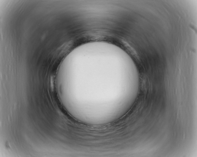 X0000095910026200801110838