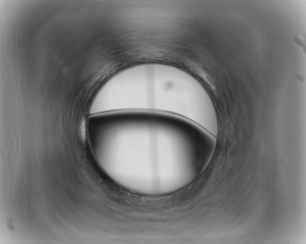 X0000095910027200801110838