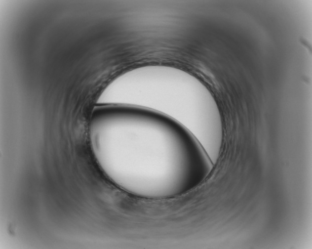 X0000095910029200801110838