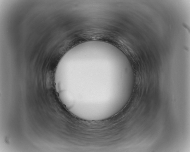 X0000095910030200801110838