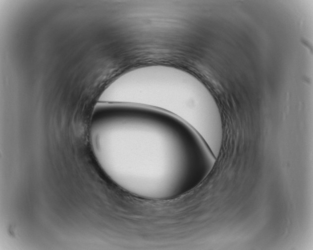 X0000095910031200801110838
