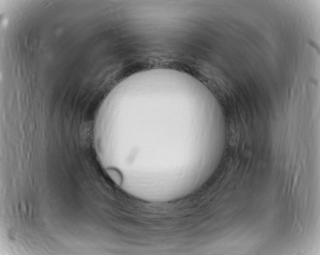 X0000095910034200801110838