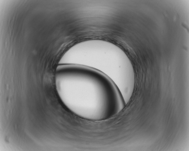 X0000095910035200801110837
