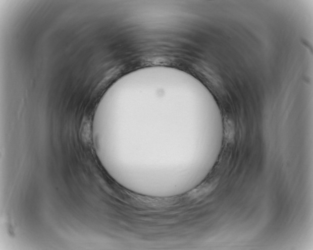 X0000095910036200801110837