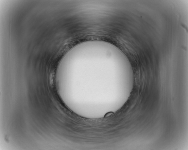 X0000095910038200801110837