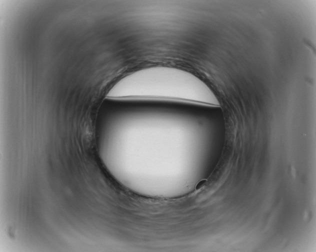 X0000095910040200801110837