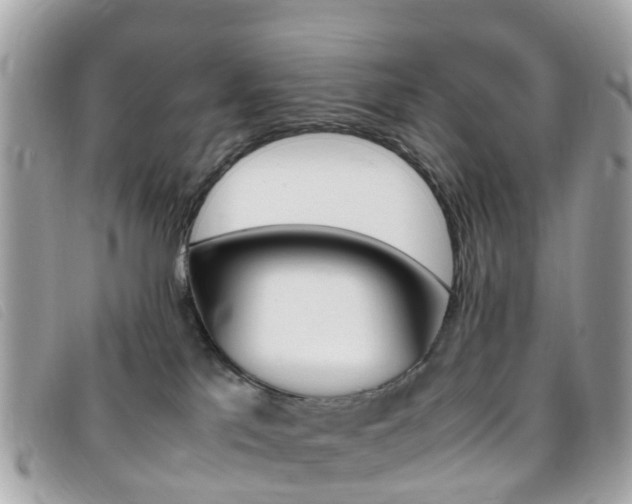 X0000095910041200801110837