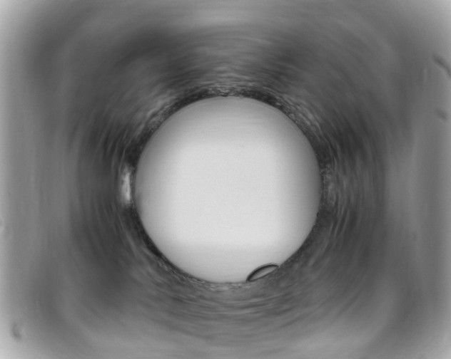 X0000095910042200801110837