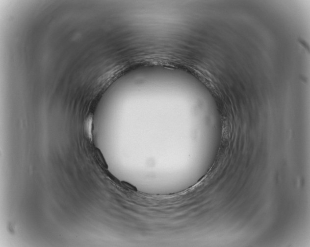 X0000095910047200801110837