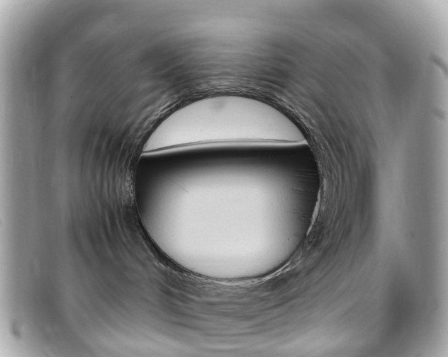 X0000095910048200801110837