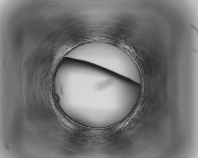 X0000095910049200801110836