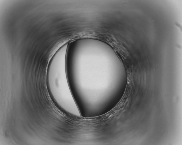 X0000095910052200801110837