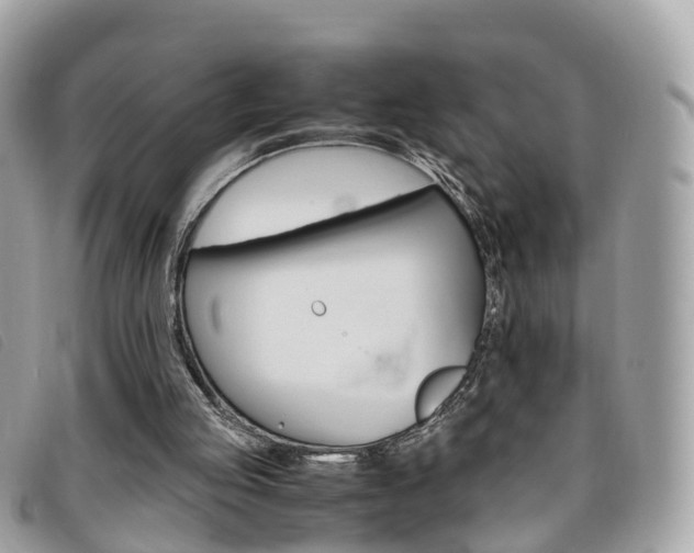 X0000095910053200801110837