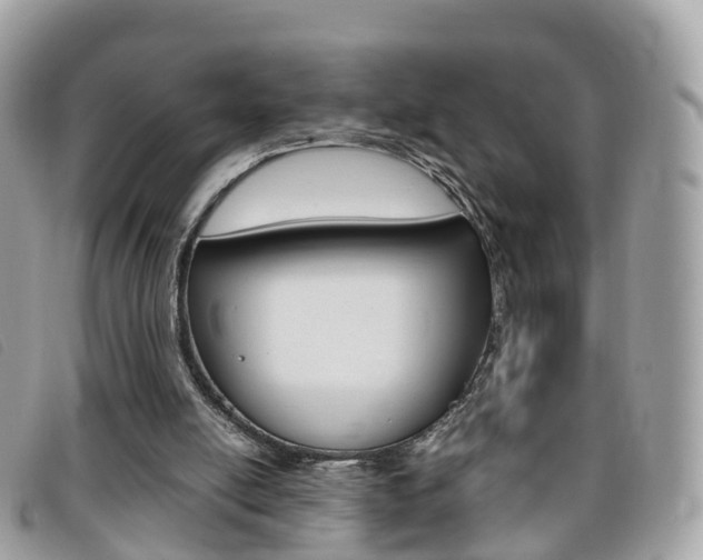 X0000095910054200801110837