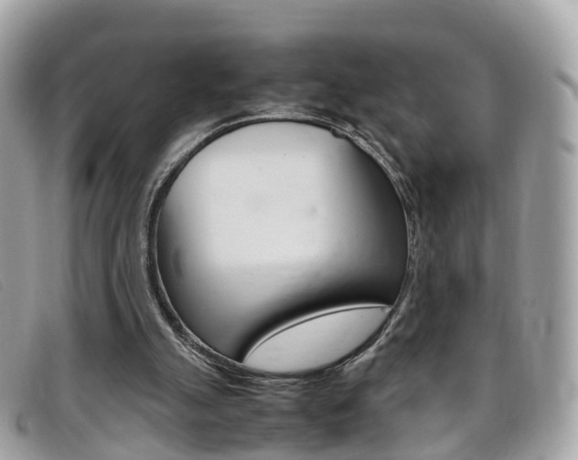 X0000095910055200801110837