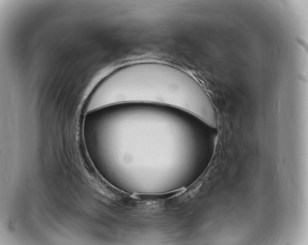 X0000095910056200801110837