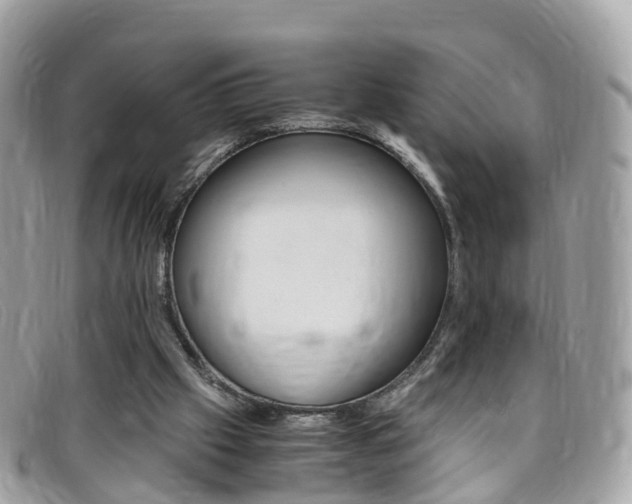 X0000095910057200801110837