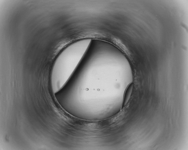 X0000095910058200801110837